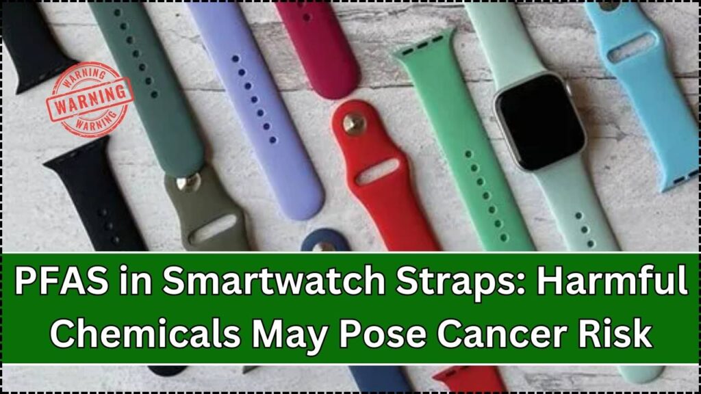 PFAS in Smartwatch Straps: Harmful Chemicals May Pose Cancer Risk 1 PFAS in Smartwatch Straps