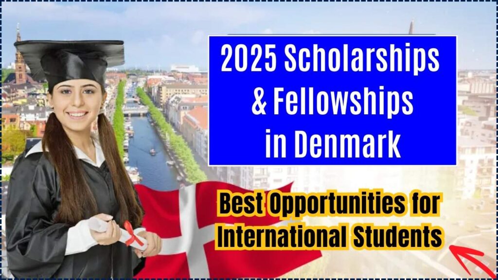 2025 Scholarships & Fellowships in Denmark: Best Opportunities for International Students 1 2025 Scholarships & Fellowships in Denmark