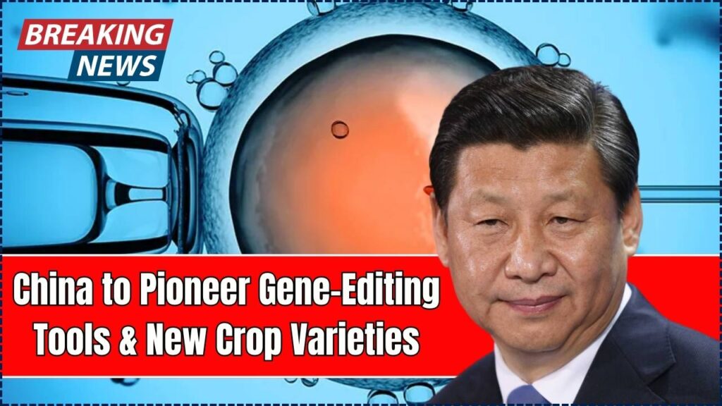 China to Pioneer Gene-Editing Tools and New Crop Varieties in Major Biotech Initiative: Is This Future of Farming? 1 China to Pioneer Gene-Editing Tools and New Crop Varieties