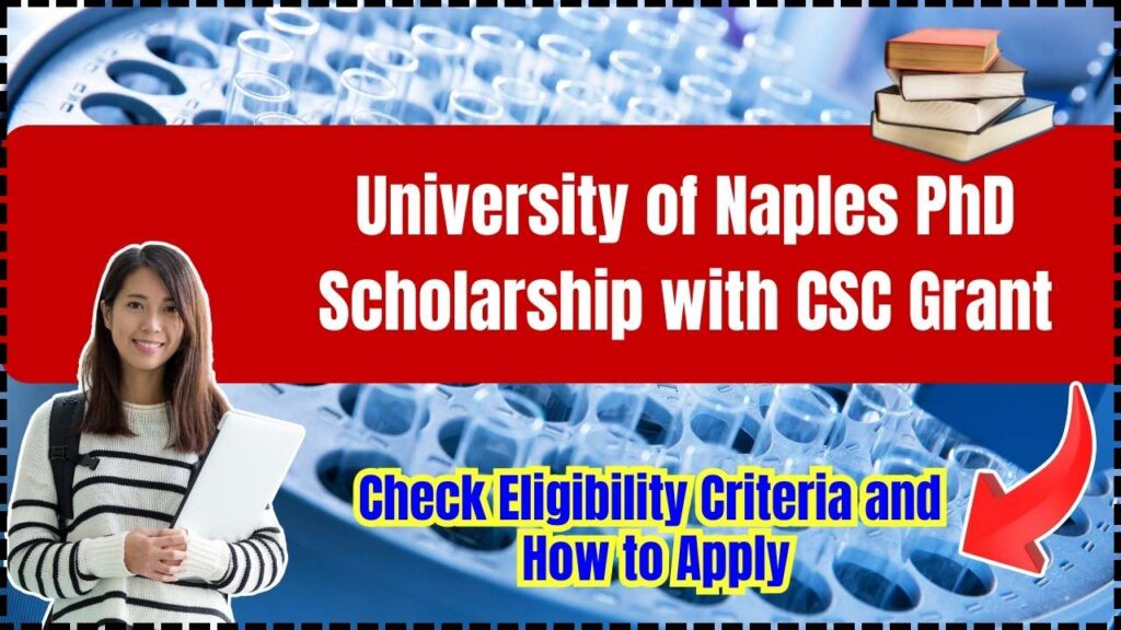 University of Naples PhD Scholarship with CSC Grant – Check Eligibility Criteria and How to Apply! 1 University of Naples PhD Scholarship with CSC Grant