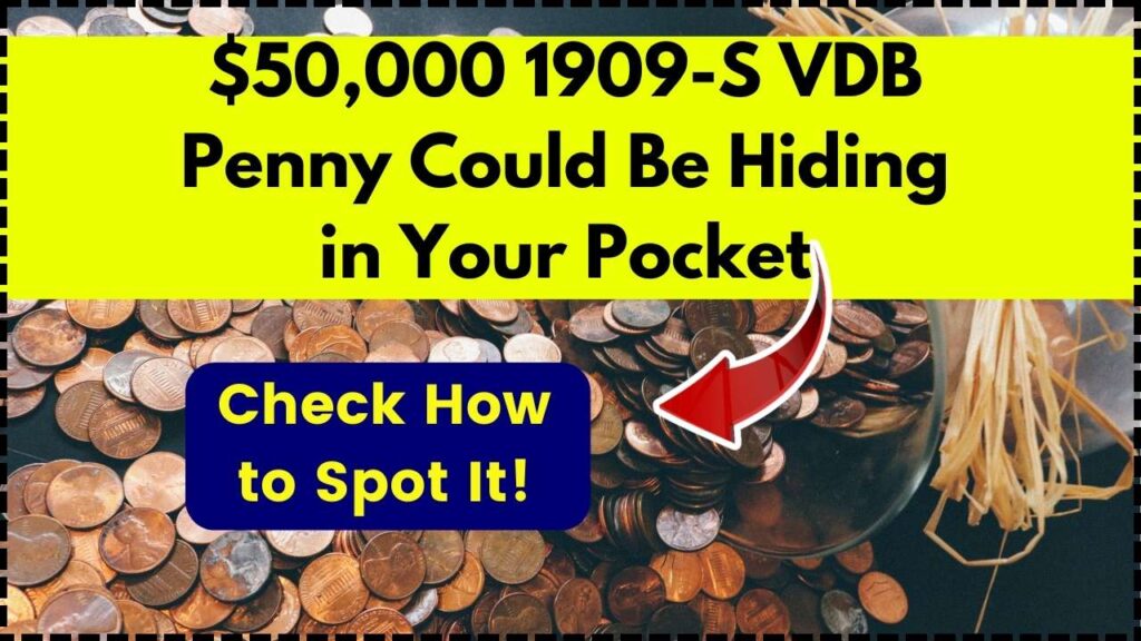$50,000 1909-S VDB Penny Could Be Hiding in Your Pocket – Check How to Spot It! 1 $50,000 1909-S VDB Penny Could Be Hiding in Your Pocket