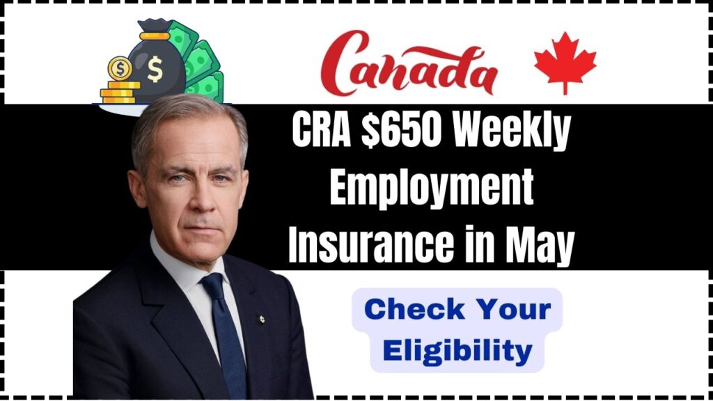 CRA $650 Weekly Employment Insurance in May 2025 – Check Your Eligibility and Payment Amount 1 CRA $650 Weekly Employment Insurance in May 2025
