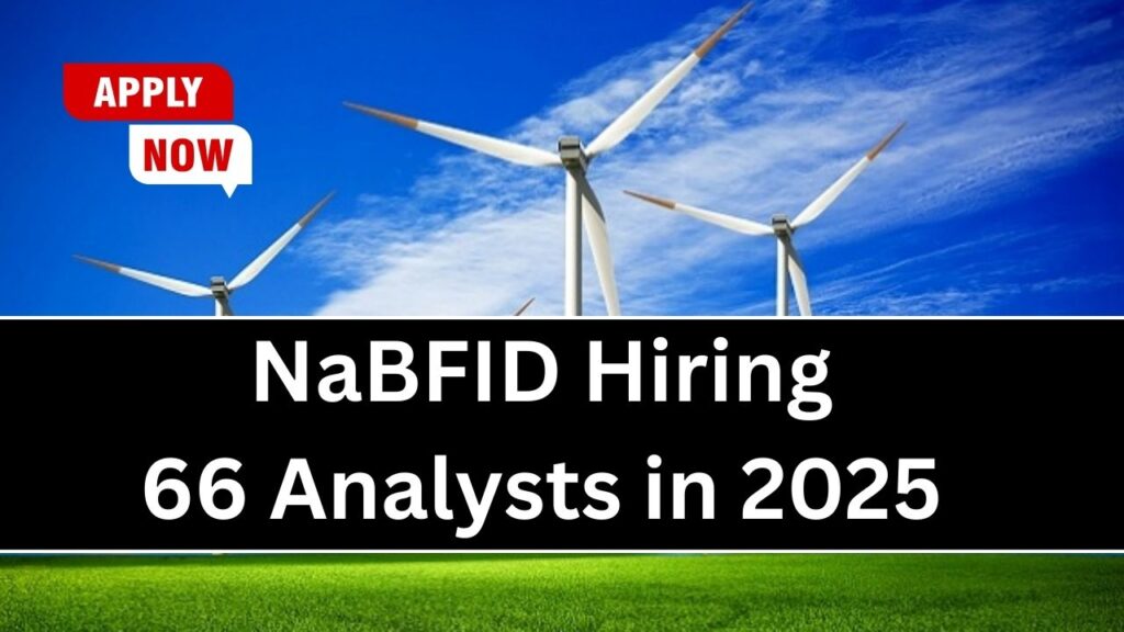 NaBFID Hiring 66 Analysts in 2025 – Apply Now Before the Deadline Hits! 1 NaBFID Hiring 66 Analysts in 2025