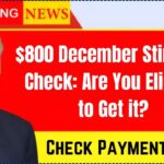 $800 December Stimulus Check