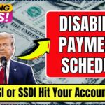 Disability Payments Schedule