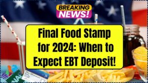 Final Food Stamp Payments for 2024