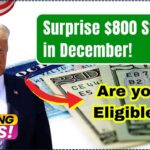 Surprise $800 Stimulus in December