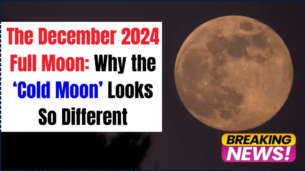 The December 2024 Full Moon: Why the ‘Cold Moon’ Looks So Different 1 The December 2024 Full Moon