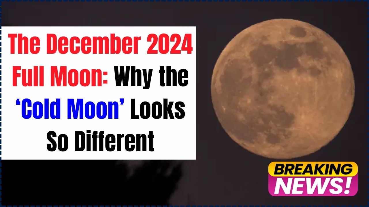 The December 2024 Full Moon Why the ‘Cold Moon’ Looks So Different