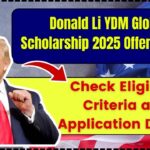 Donald Li YDM Global Scholarship 2025 Offers $2,500