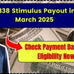 $1338 Stimulus Payout in March 2025