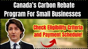 Canada’s Carbon Rebate Program For Small Businesses