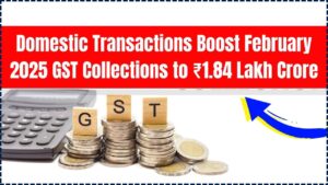 Domestic Transactions Boost February 2025