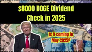 $8000 DOGE Dividend Check in 2025