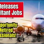 AAI Releases 2025 Consultant Jobs
