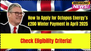 How to Apply for Octopus Energy’s £200 Winter Payment in April 2025
