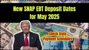 New SNAP EBT Deposit Dates for May 2025